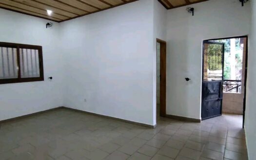Studio